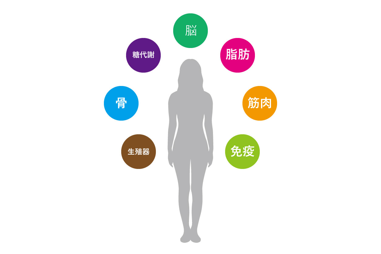 別名「若返りホルモン」と呼ばれる成長ホルモン